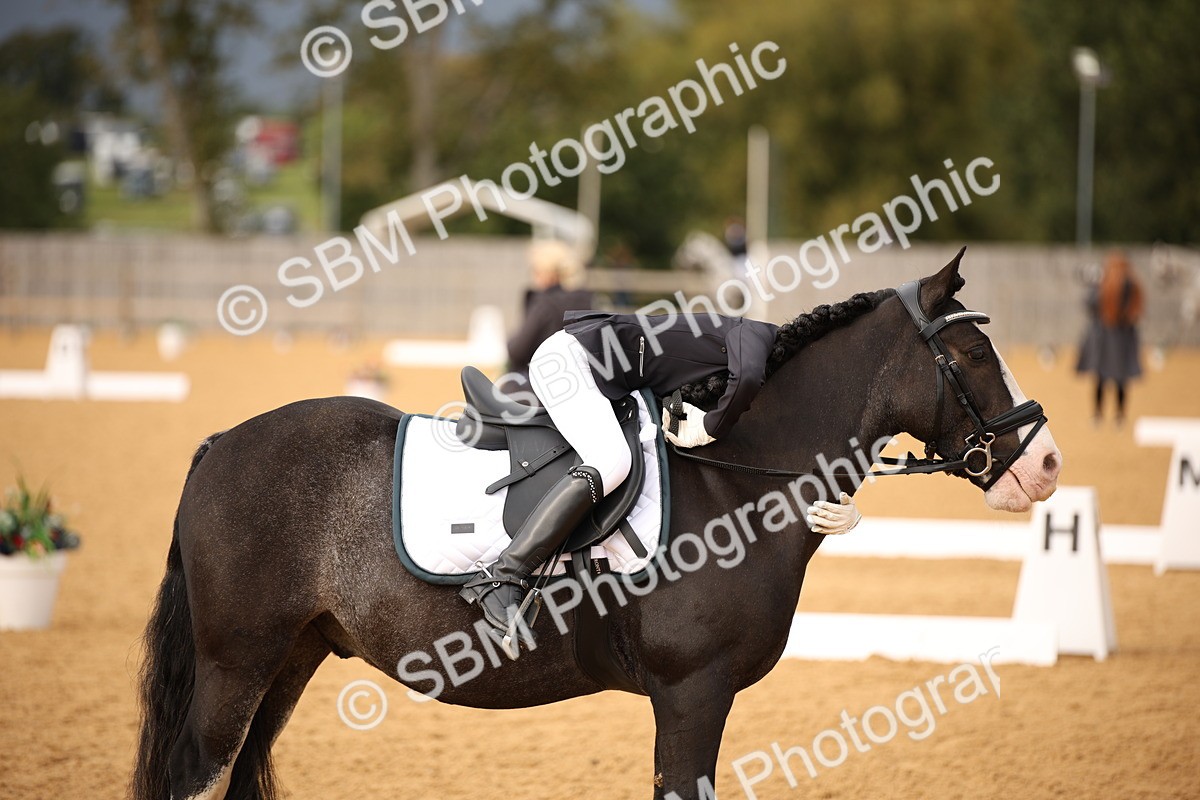 SBM_12286 - D3 Small  Tour Championship Intro A