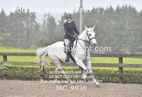 JAC_9936 - CLASS 3 Intermediate Working Hunter (0.70m - 0.85m)