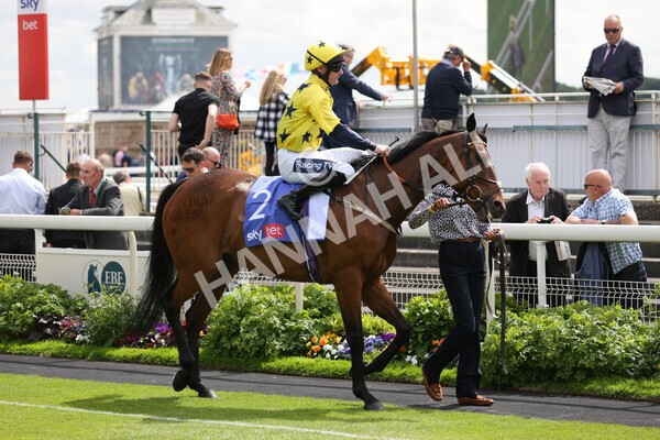 yr11062022r4-3 - Race 4 3.05pm Sky Bet Grand Cup