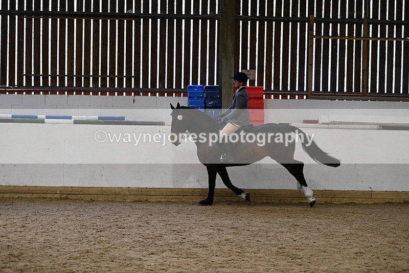 WJ5_7778 - Class 13 Ridden Part Breed