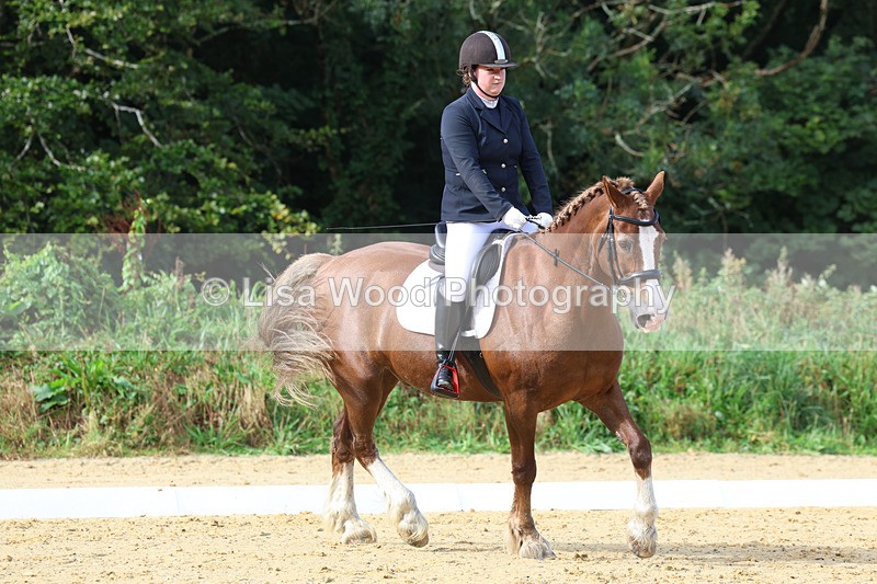 3E7A2265 - Class 1: Intro 4 2024 section A