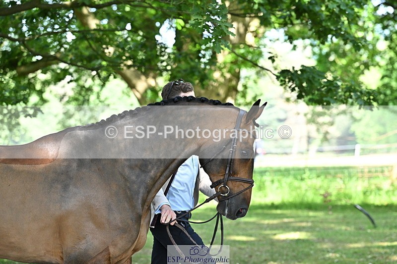 250521A-154819-00774 - B-367-Tom.Grant-QUID