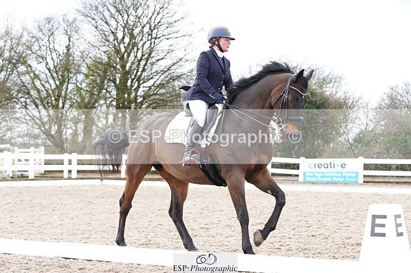 250322-130214-00428 - DR Elementary 2 Test