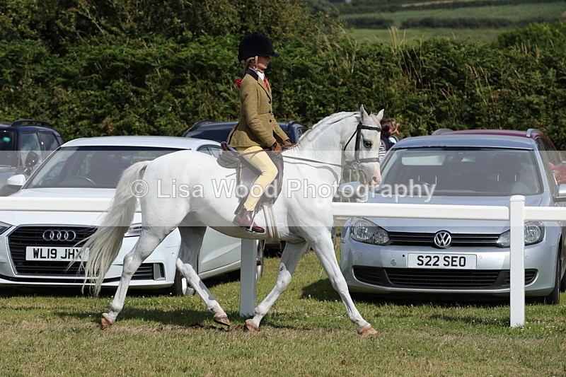 1X9A5659 - Class 40: NPS Welsh A & B