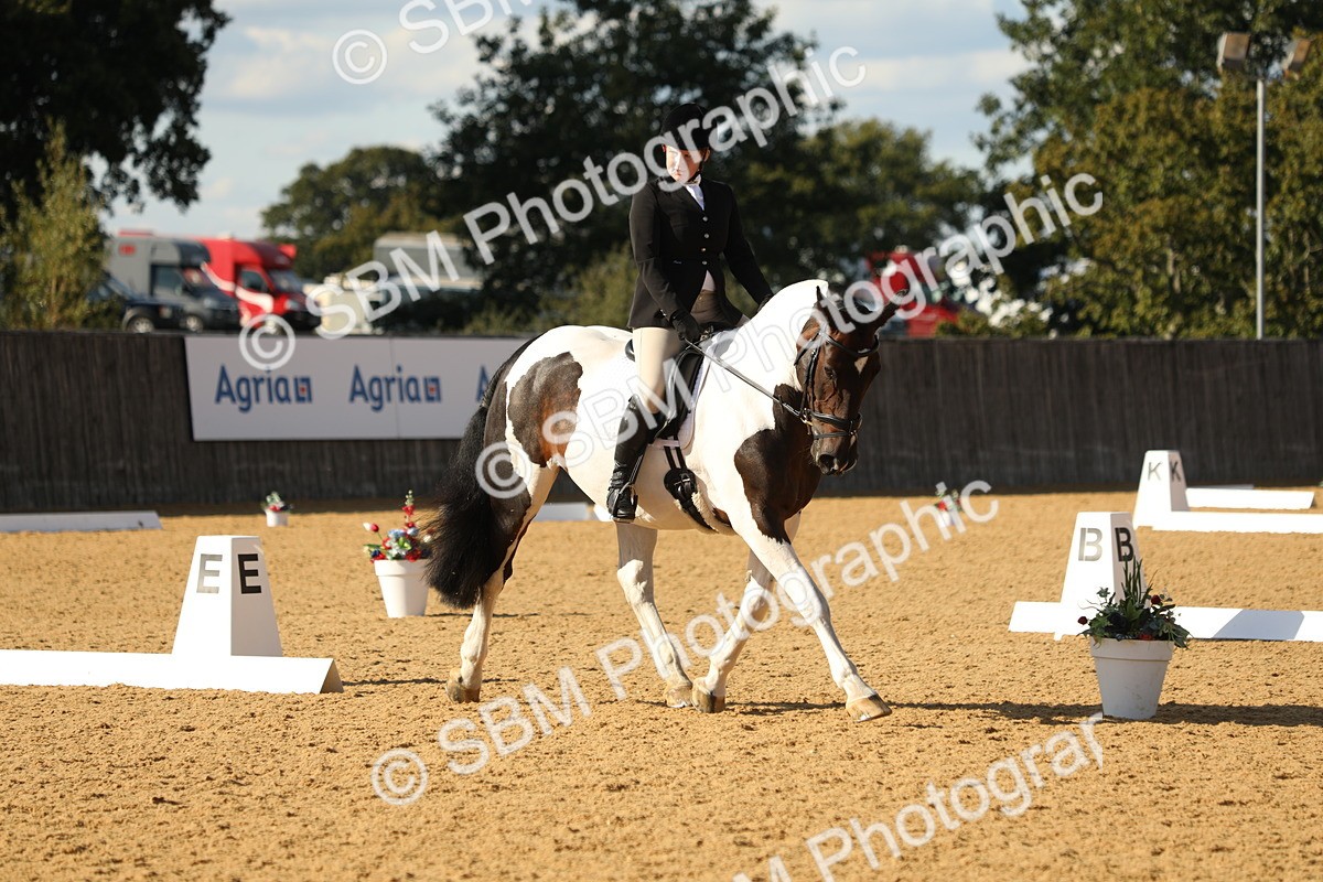 SBM_26845 - D17 - Grand Tour Championship - Novice 27