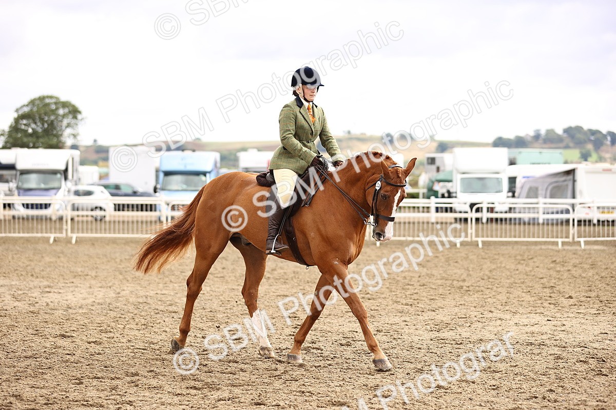 SBM_00660 - Class 53 - Ridden Competition Horse Pony