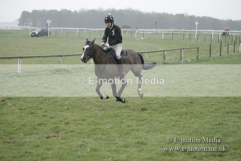 PtP 150320 0052 - New Forest Point-to-Point Larkhill 15/03/20