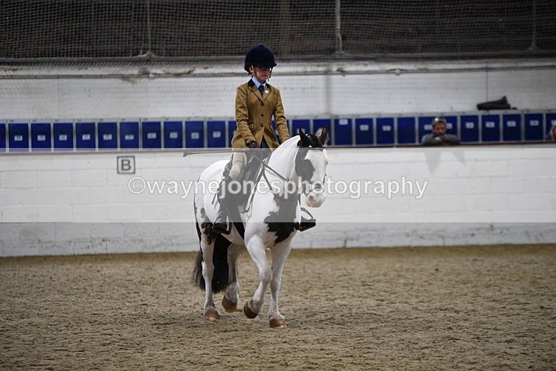 WJ5_7288 - Class 11 Ridden PC - RC Pony
