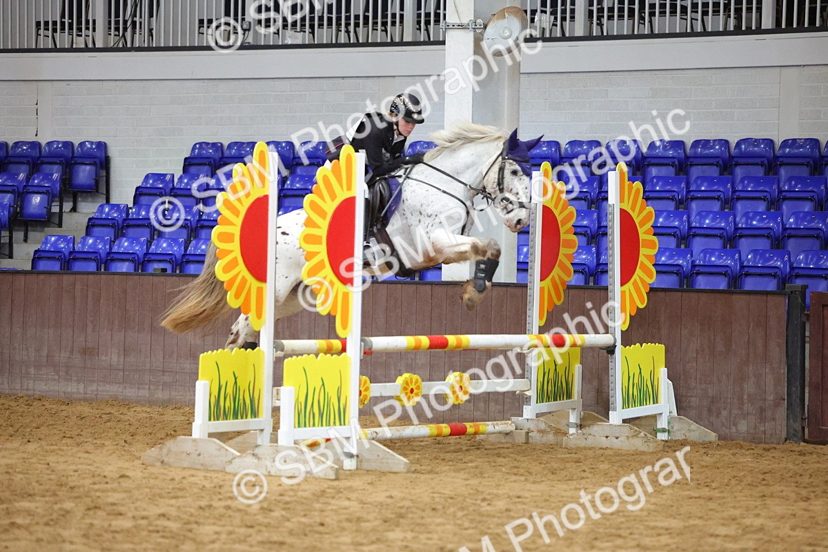 SBM_001905 - Class 5 - Show Jumping 80cm