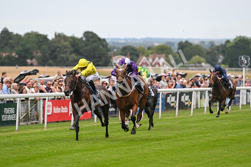 290725-Race 3-Ancient Egypt-0104 - Race 3