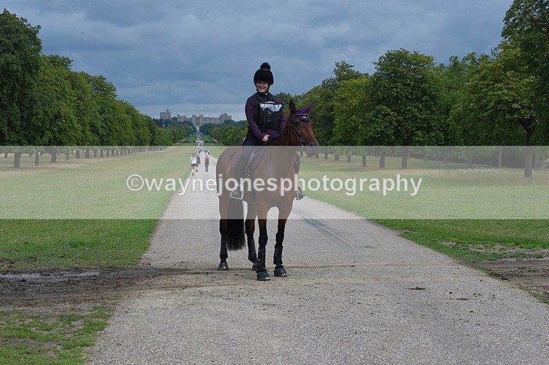 TT3_9270 - Time at Crossing 09:22 to 11:26