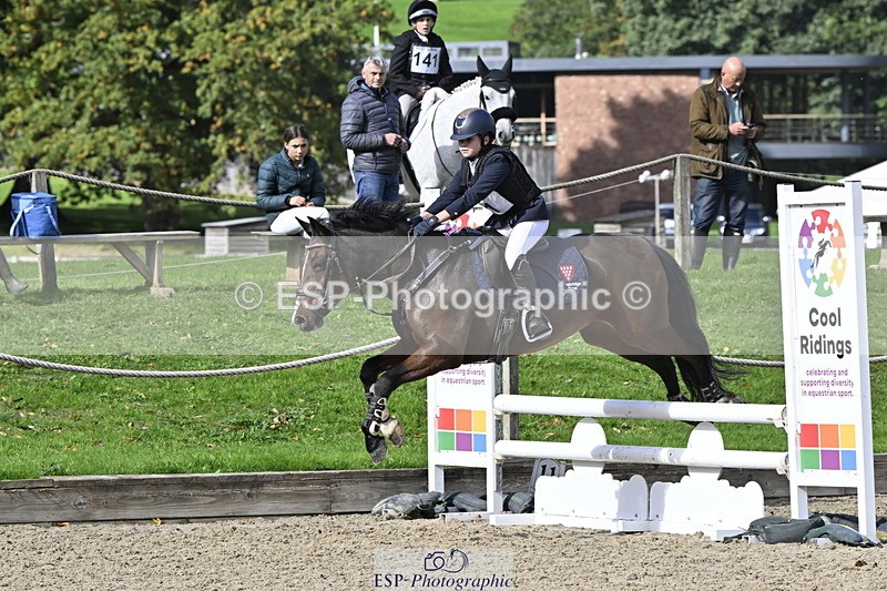 251005A-123936-03869 - Cls 08 Mini 70-75cm