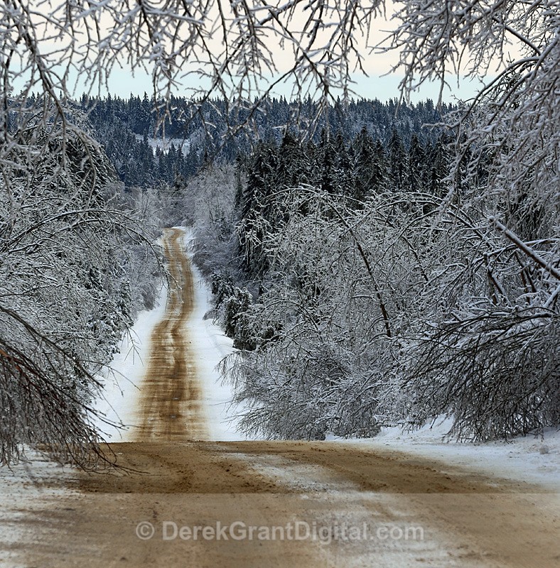 Cold Road - Winterscape