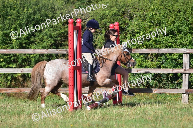 20260906-0480 - Class 6 - Minimus Jumping