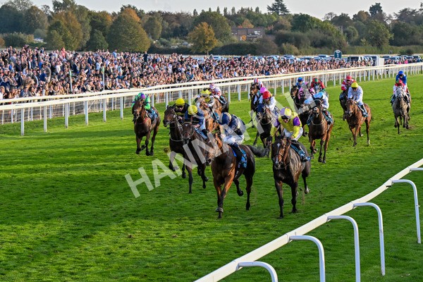111025-Race 7-Lets Dream-0706 - Race 7 Coral 'Committed To Safer Gambling' Finale Handicap at York