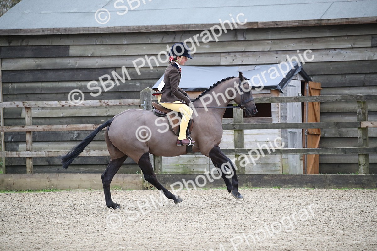 SBM_004620 - Class 5-9 - NPS In Hand-Show Hunter-Intermediate Ridden Inc Ridden Championship