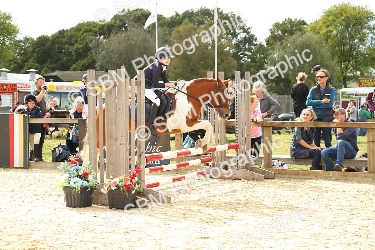 SBM_46454 - J7 - Junior Pony 60cm Championship
