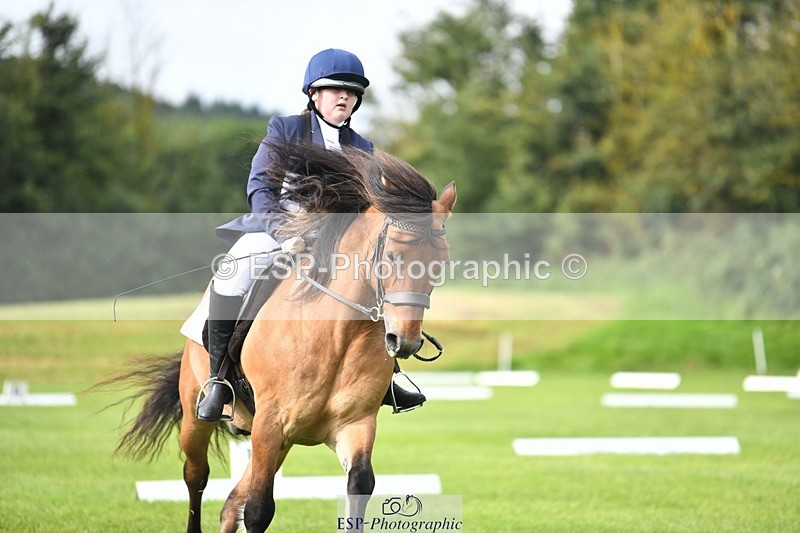 230826-101107-15400 - Sections C & D 10 to End