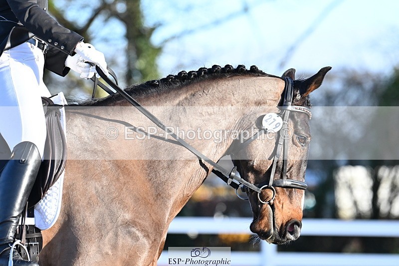 240218A-090154-04631 - 279-TILA.DA.COSTA-Leomiro