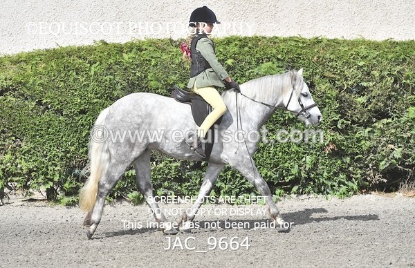 JAC_9664 - CLASS 1 Nursery Novice Working Hunter (0.50m)