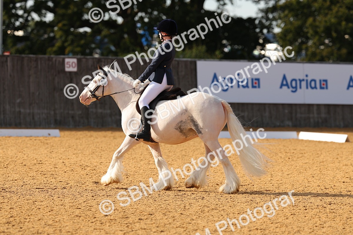 SBM_49671 - D22 - Junior Championship - Intro B