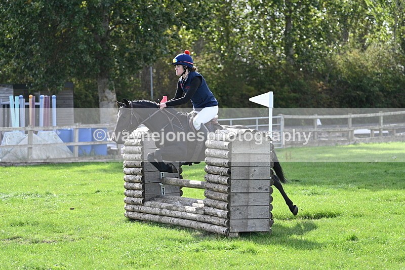 WJ7_8604 - 60cm Pairs