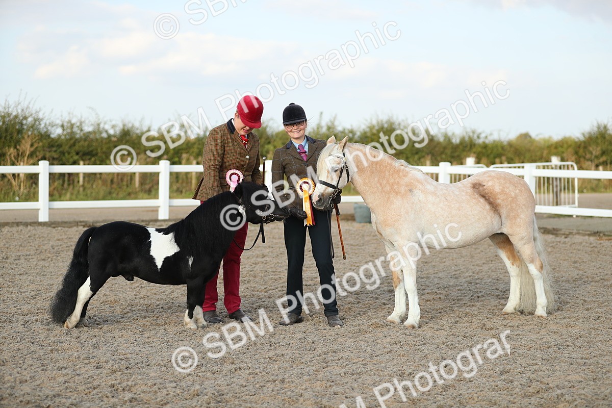 SBM_09135 - Class 29 IH Veteran Pony