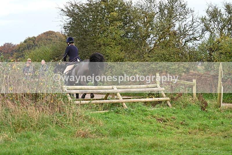 WJ7_0393 - Camera 1 & Last fence