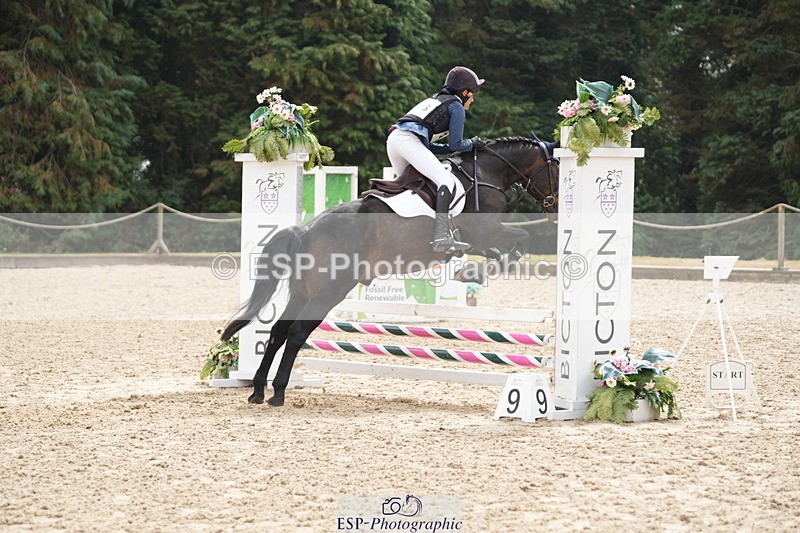 250824A-121455-35891 - 2053-Ava.Sampson-Chameleon