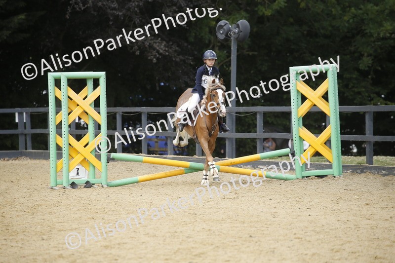 20250622-4038 - 50cm