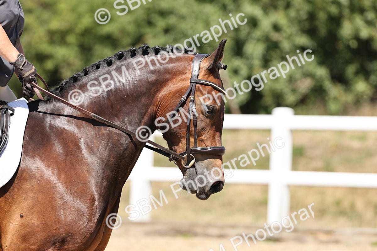 SBM_001620 - Prelim 4 - 11.25-13.24