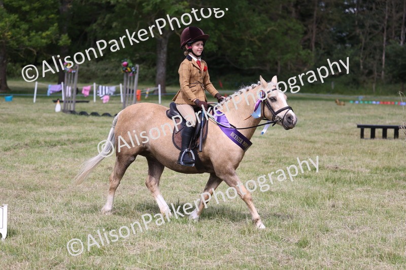 20260614-0848 - Class 20 - Beginners Working Hunter Pony