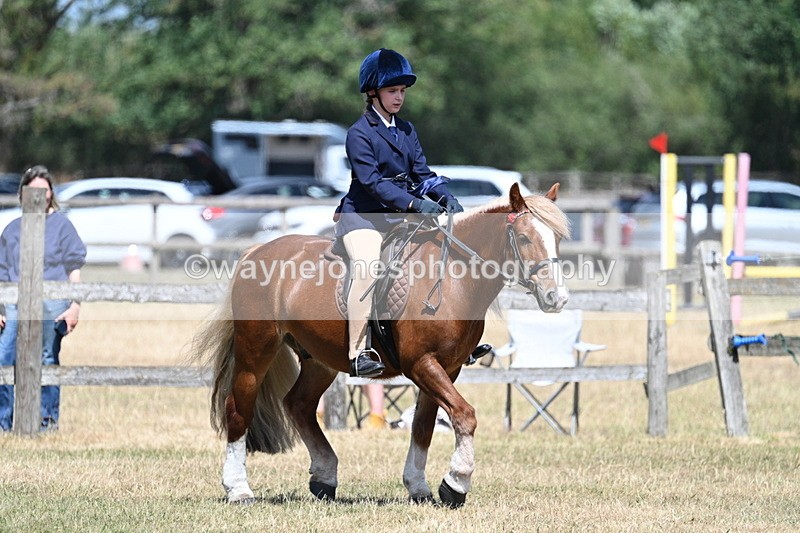 WJ7_3370 - Class 8 Ridden Veterans