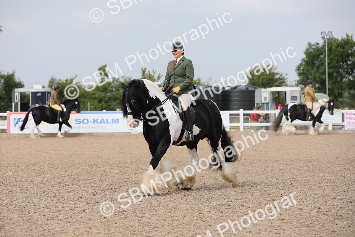 SBM_12697 - Class 307 Ridden Coloured Pony