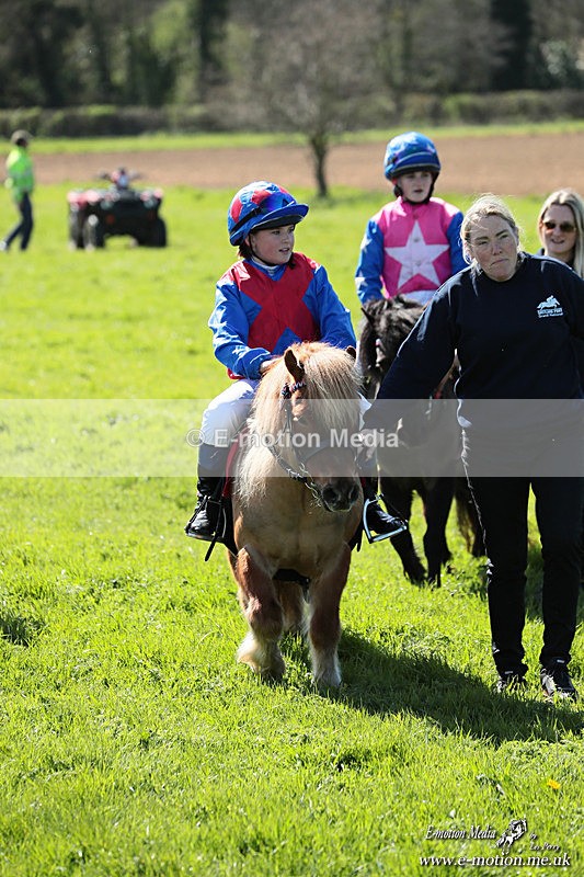 Shet 060426 347 - Shetland Pony Racing Paxford Races Easter Mon 06/04/26