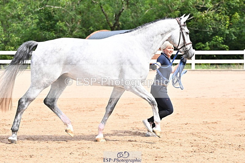 240718A-105236-00907 - Trot Up 11am to 12pm