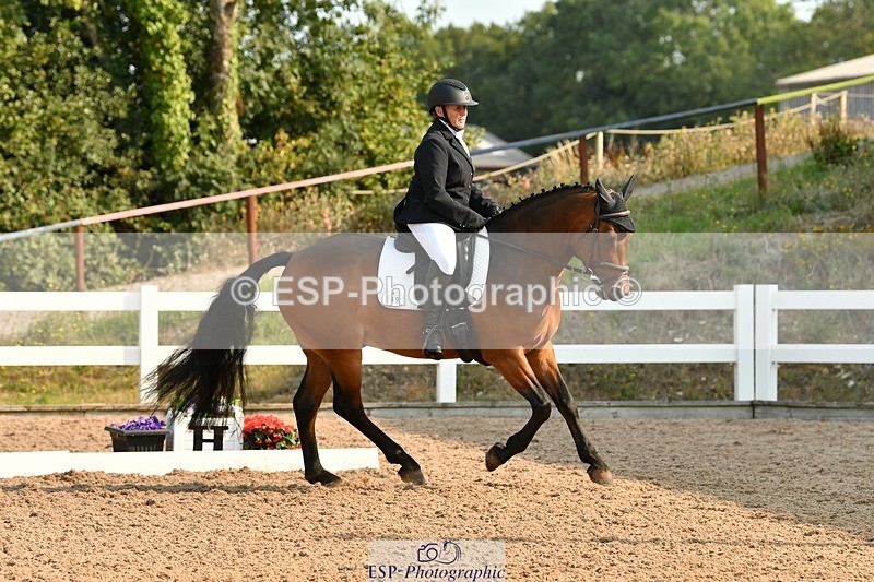 250817-093159-06953 - 049-Carolyn.GaleNewtown.Ringo