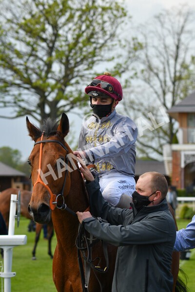 yr13052021r6-48 - Race 6 4.15pm Constant Security EBFstallions.com Maiden Stakes