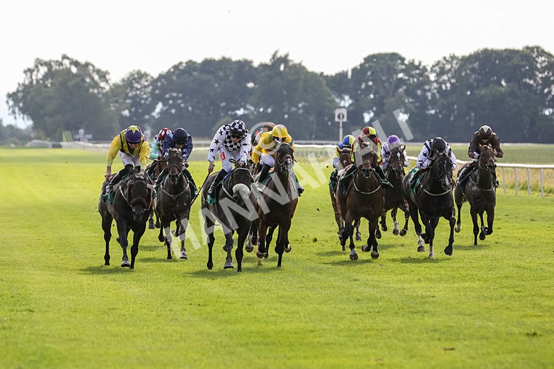 240624-Race 8-Le Beau Garcon-0599 - Race 8