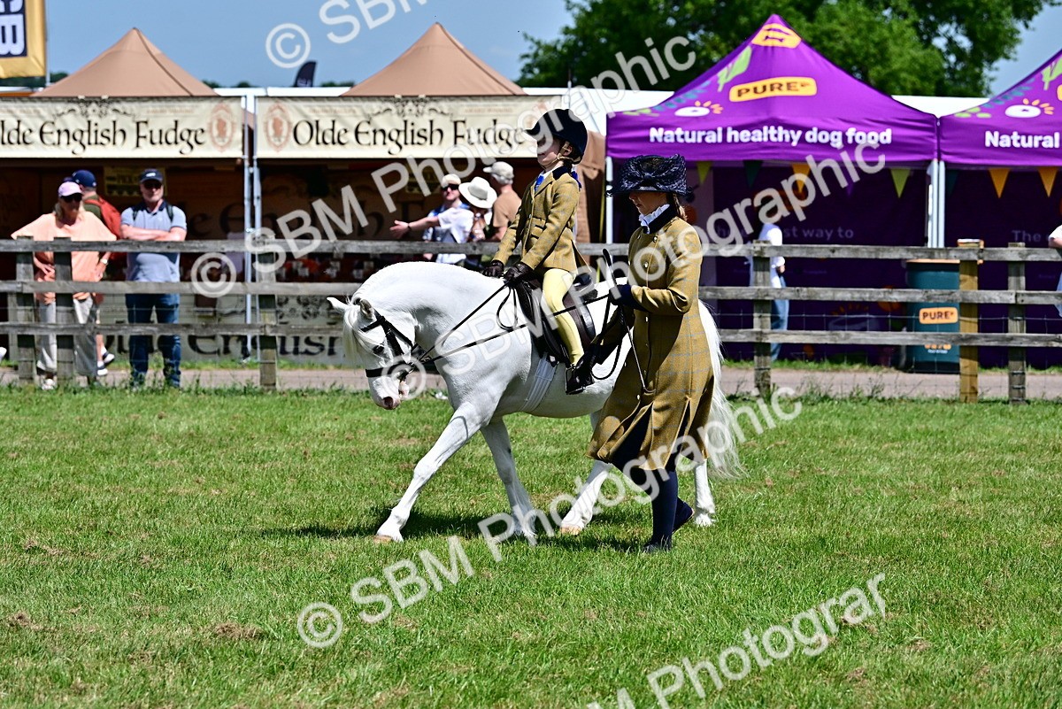 SBM_05915 - Class 59-60 - TSR M&M  Lear Rein and First Ridden Amateur of the year