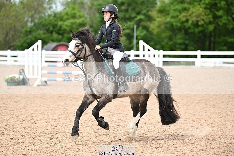 250504-142655-03601 - Cls 23 Stepping Stones