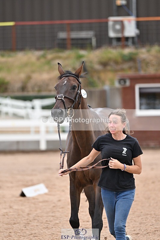 250716-140918-00941 - Trot Up 1.30 to 2.30