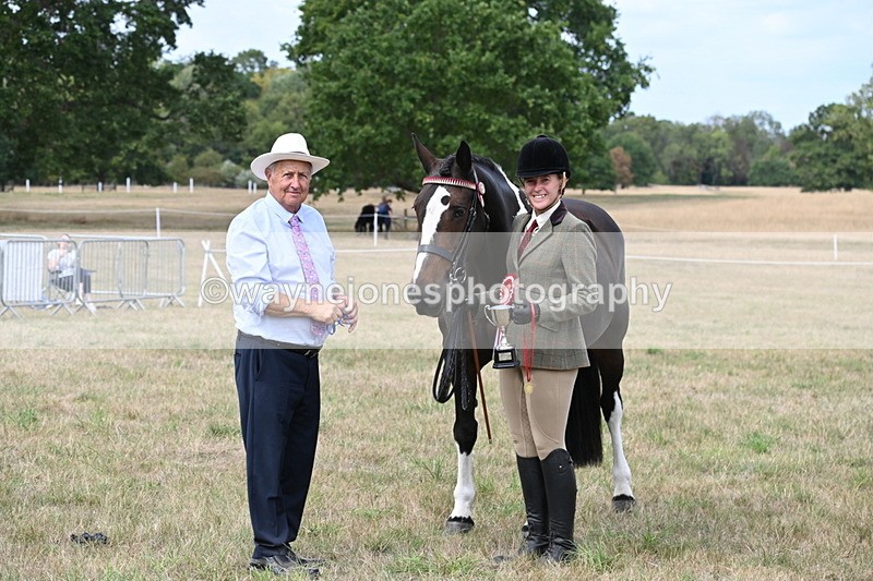 WJ6_6349 - Class 19 In-hand Veterans (Uploaded correct folder)