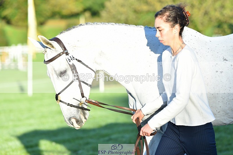 231022-085746-21475 - 646-SKIPTOTHEGOODBIT-Sophia.Mcdonald-TrotUp+SJ