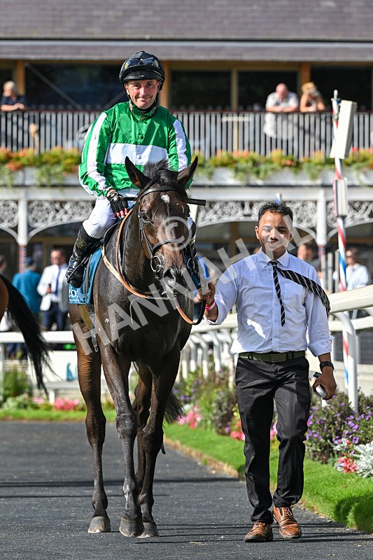 060926-Race 4-Stoneacre Donny-8102 - Race 4 3.15pm Saltmoore Collection Handicap