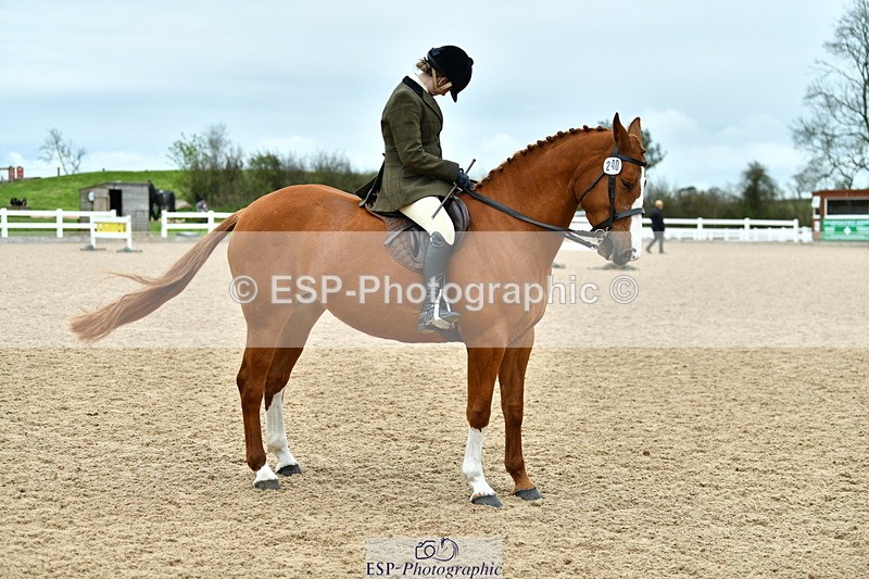 230416A-143623-05274 - Cls 74 Warmblood