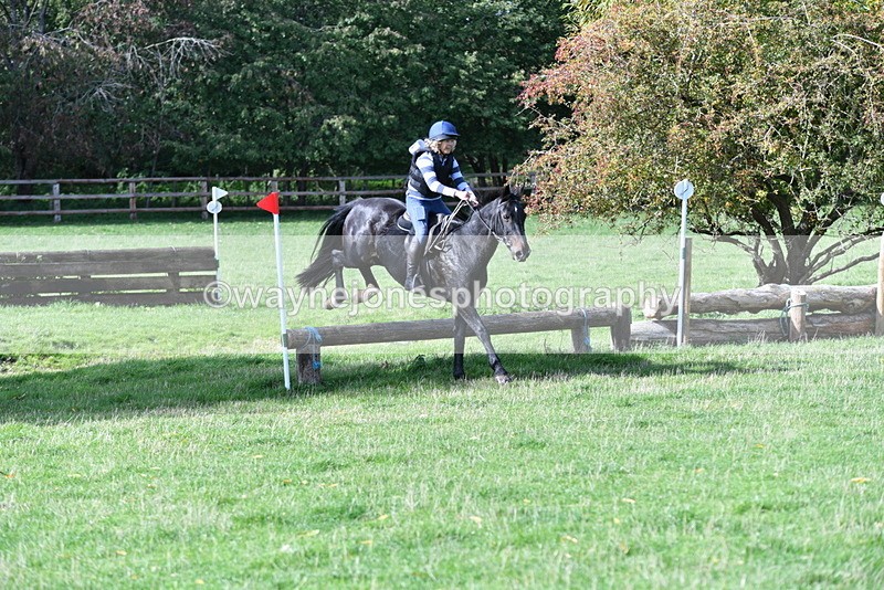 WJ5_8174 - Time 10:31 to 12:01