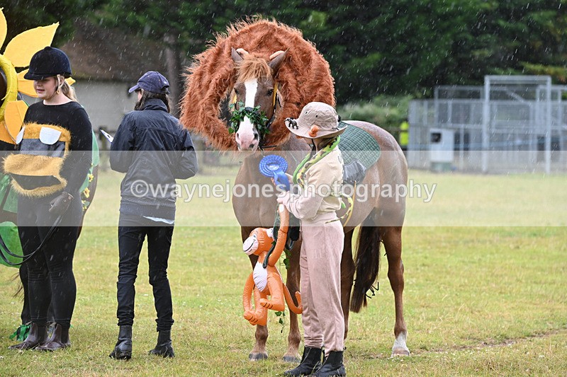 WJ6_9380 - Class 11 Fancy Dress