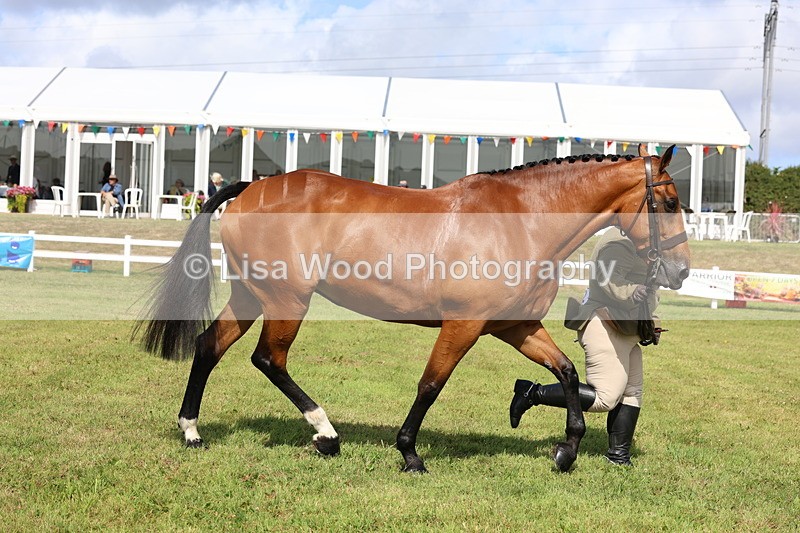 3E7A9527 - Class 4: Rising Star M/H Hunter