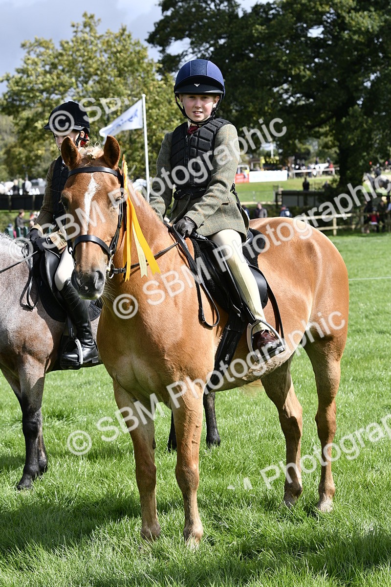 SBM_41673 - S32 - Mountain & Moorland Working Hunter Pony